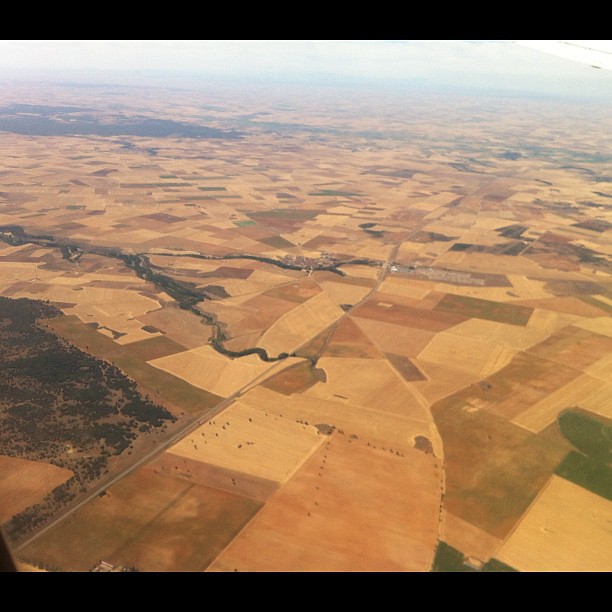 Crafting Captivating Headlines: Your awesome post title goes here paisaje de campos